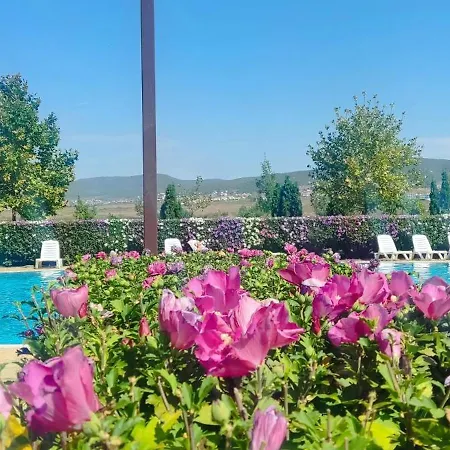 Apartament Golf Club & Orchid Noks Mia